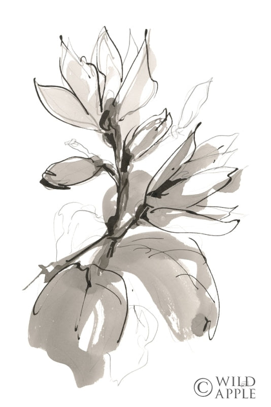 Reproduction of Magnolia I by Chris Paschke - Wall Decor Art