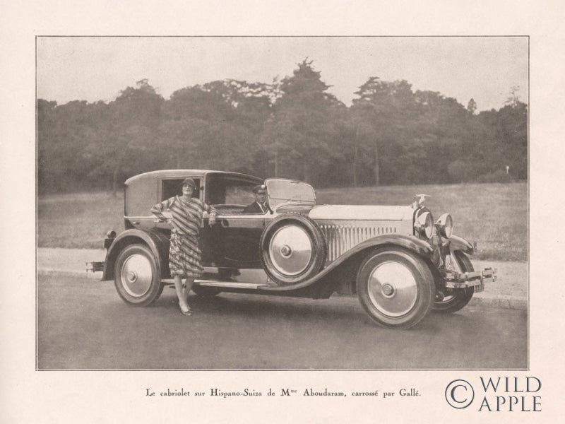 Reproduction of French Country Drive III by Wild Apple Portfolio - Wall Decor Art