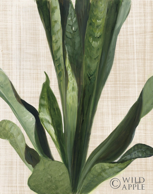Reproduction of Tropical Study III Linen by Julia Purinton - Wall Decor Art