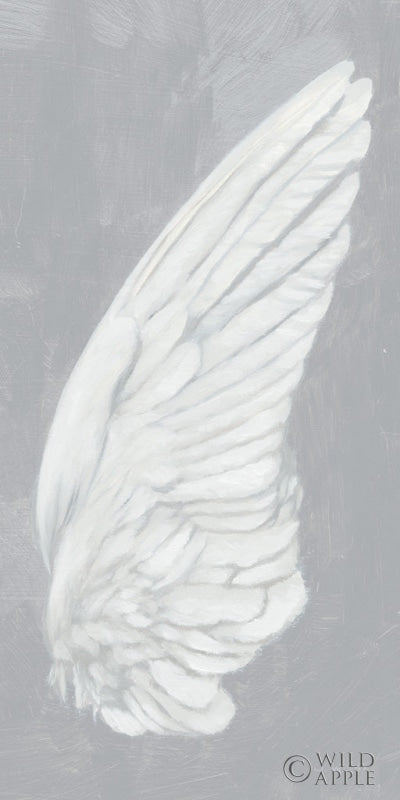 Reproduction of Wings III on Gray by James Wiens - Wall Decor Art