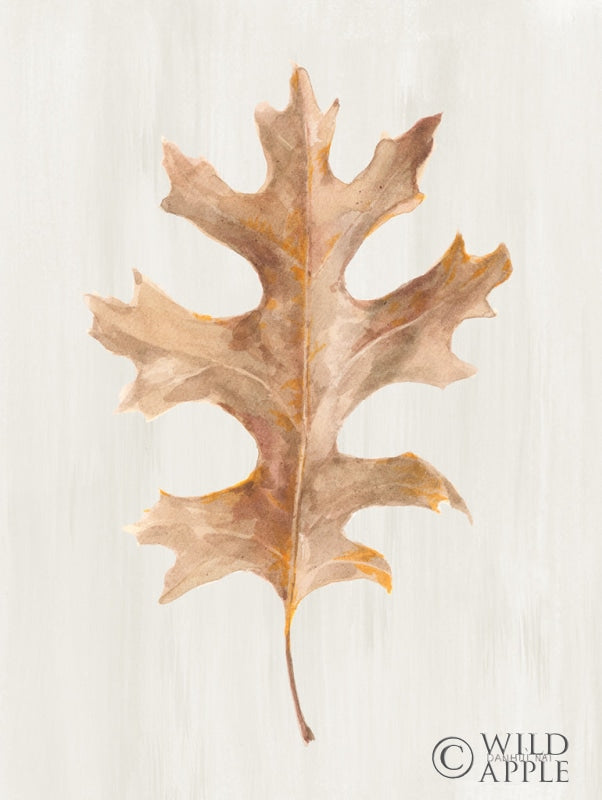 Reproduction of Fallen Leaf I Texture by Danhui Nai - Wall Decor Art