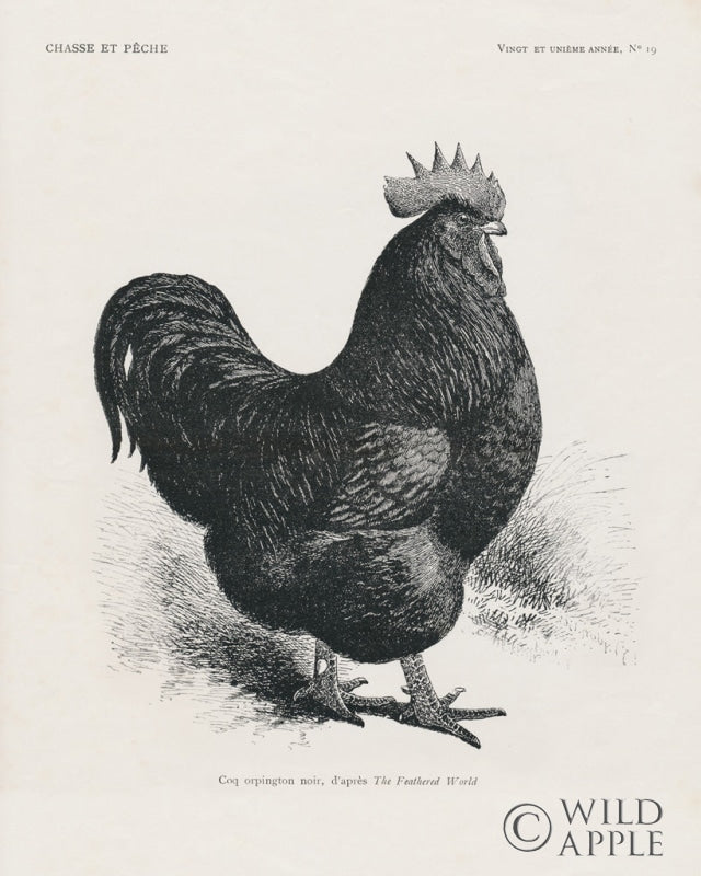 Reproduction of Vintage Farm Life II by Wild Apple Portfolio - Wall Decor Art