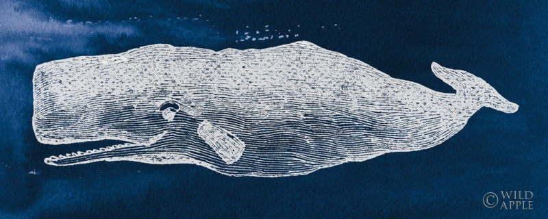 Reproduction of Whale on Blue by Wild Apple Portfolio - Wall Decor Art