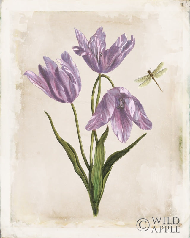 Antiquarian Blooms III Purple