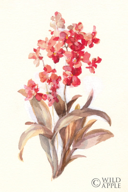 Reproduction of Autumn Orchid I by Danhui Nai - Wall Decor Art