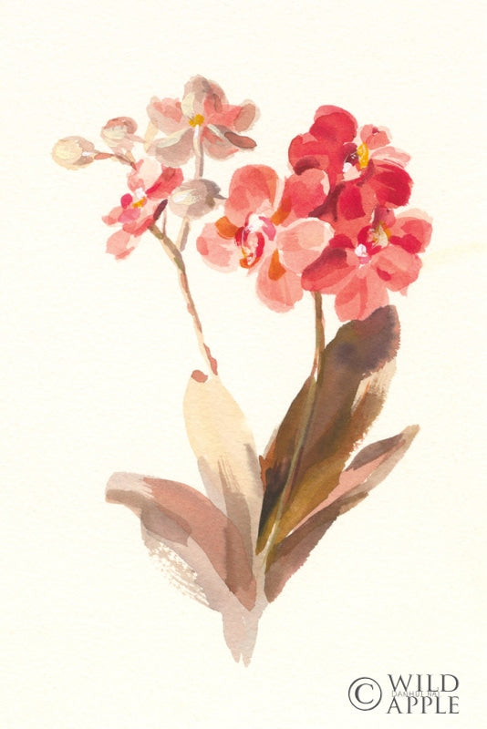 Reproduction of Autumn Orchid II by Danhui Nai - Wall Decor Art
