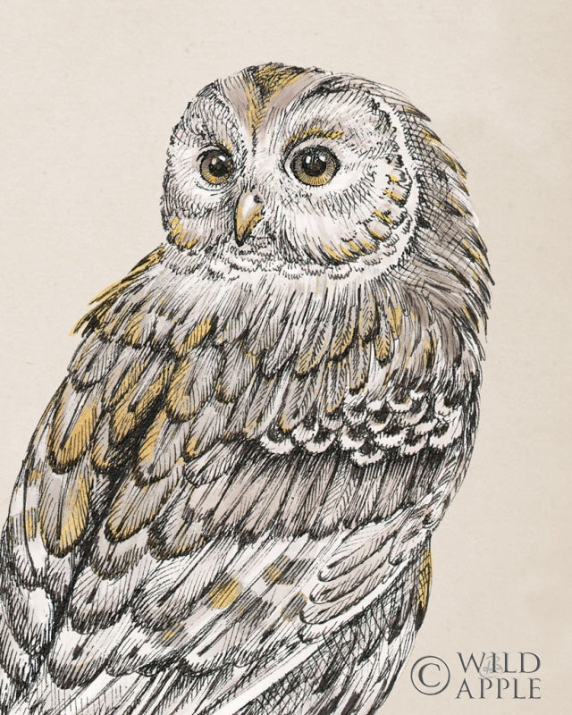 Reproduction of Beautiful Owls III Vintage by Daphne Brissonnet - Wall Decor Art