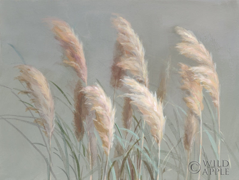 Reproduction of Pampas Grasses on Gray by Danhui Nai - Wall Decor Art