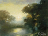 Reproduction of Distant Glimmer by Julia Purinton - Wall Decor Art