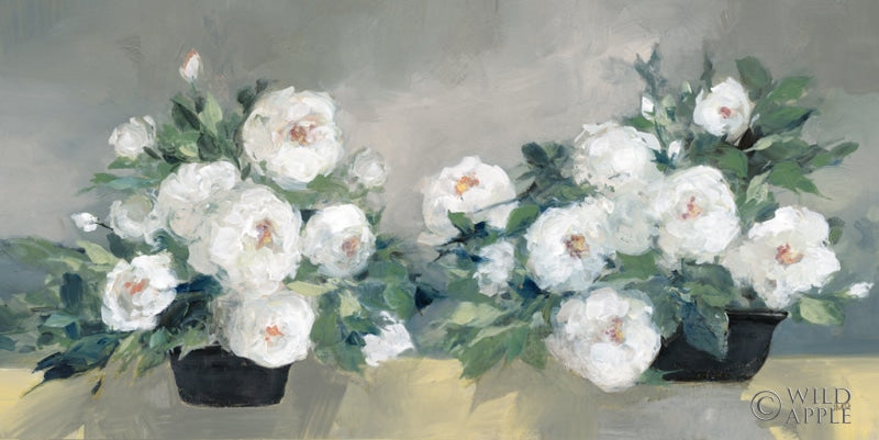 Reproduction of Roses of August III by Julia Purinton - Wall Decor Art