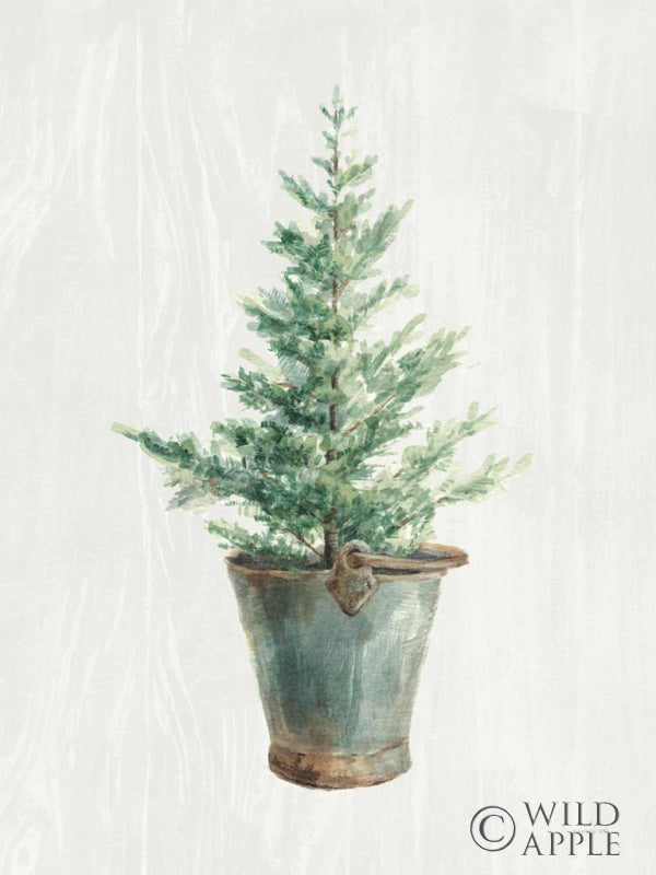 Reproduction of White and Bright Christmas Tree I No Berries by Danhui Nai - Wall Decor Art