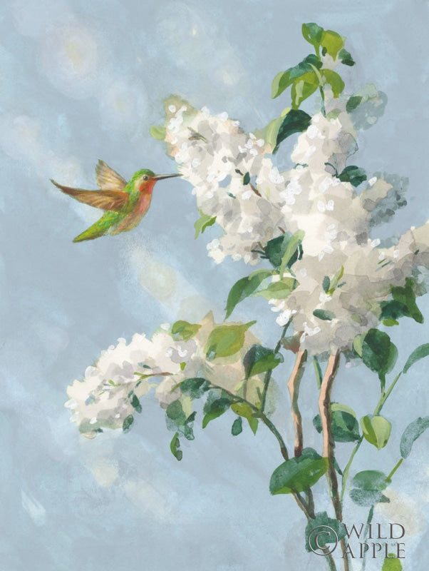 Reproduction of Hummingbird Spring I Soft Blue by Danhui Nai - Wall Decor Art