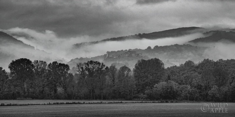 Reproduction of Village in the Fog Crop by Aledanda - Wall Decor Art