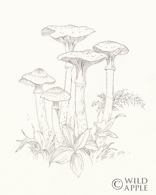 Reproduction of Nature Sketchbook I by Danhui Nai - Wall Decor Art