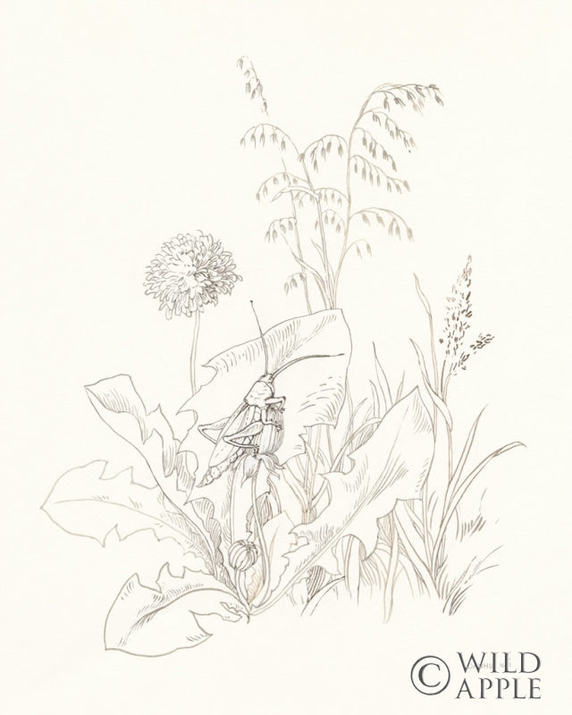 Reproduction of Nature Sketchbook VII by Danhui Nai - Wall Decor Art