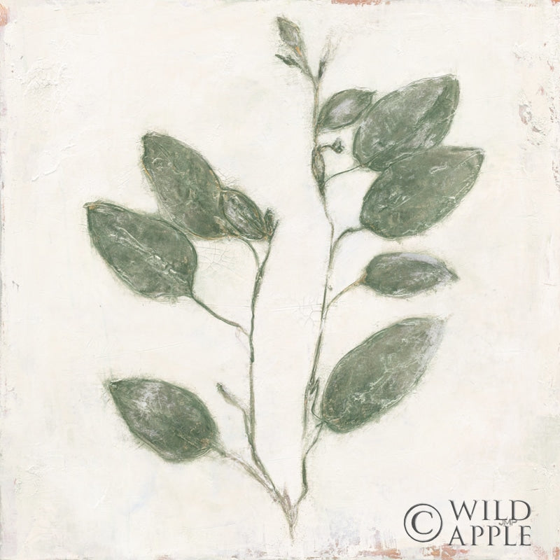 Reproduction of Plantlife II Green by Julia Purinton - Wall Decor Art