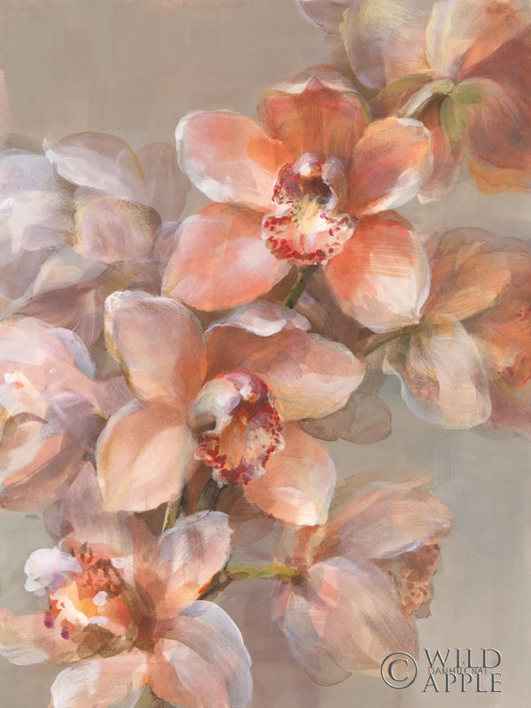 Reproduction of Delicate Orchid I by Danhui Nai - Wall Decor Art