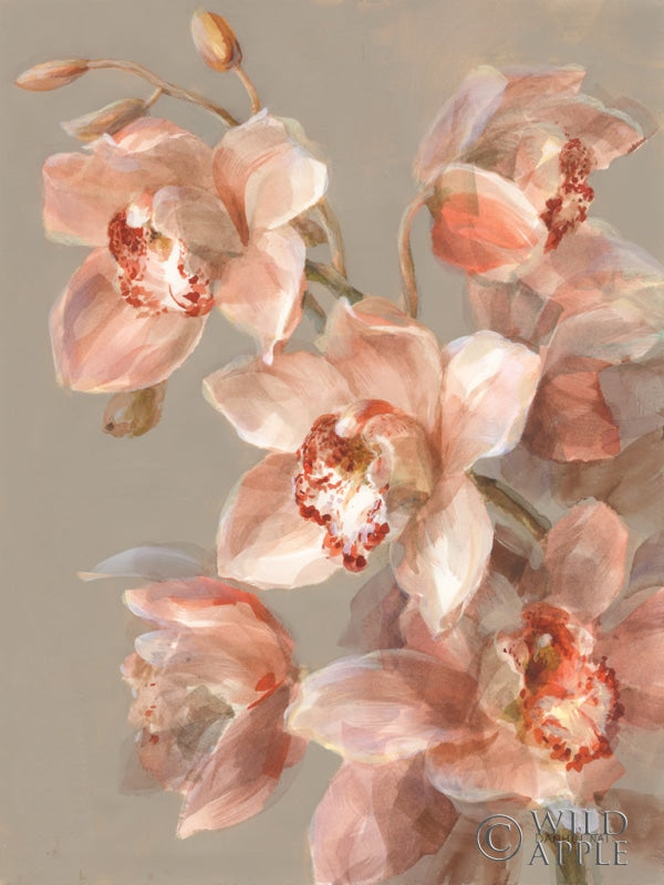 Reproduction of Delicate Orchid II by Danhui Nai - Wall Decor Art