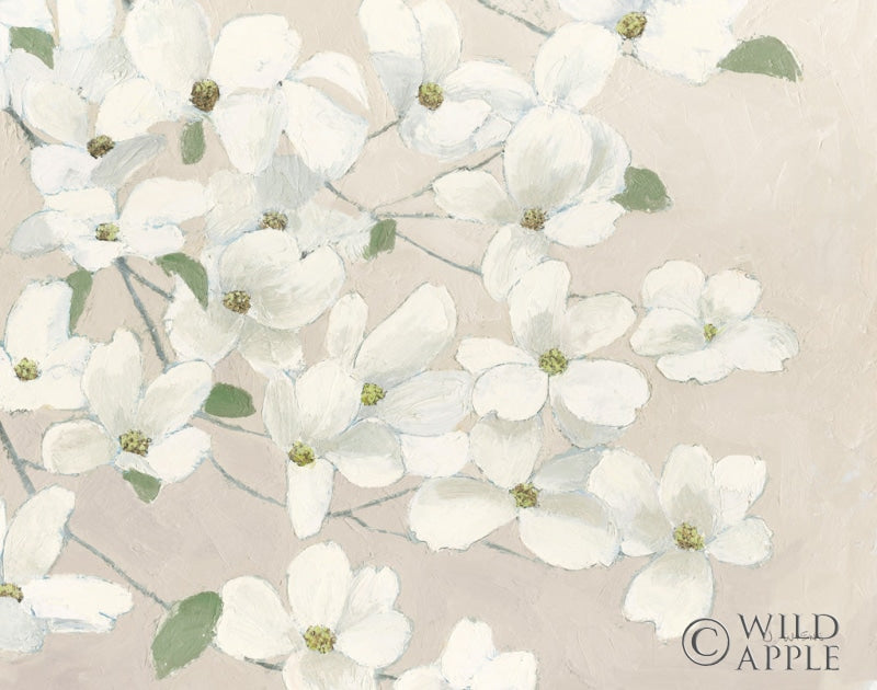 Reproduction of Dogwood Delight Cream by James Wiens - Wall Decor Art