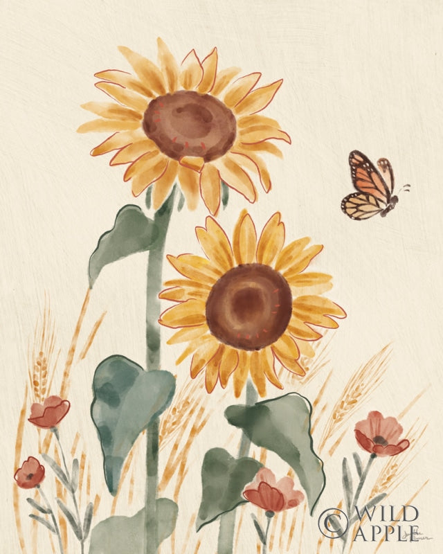 Sunflower Season VIII