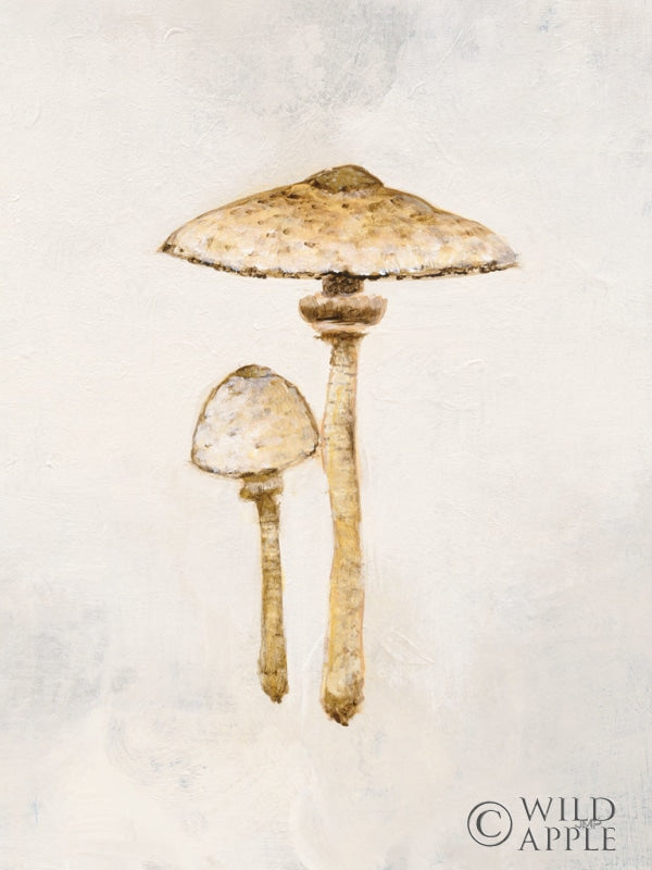 Reproduction of Woodland Mushroom I by Julia Purinton - Wall Decor Art