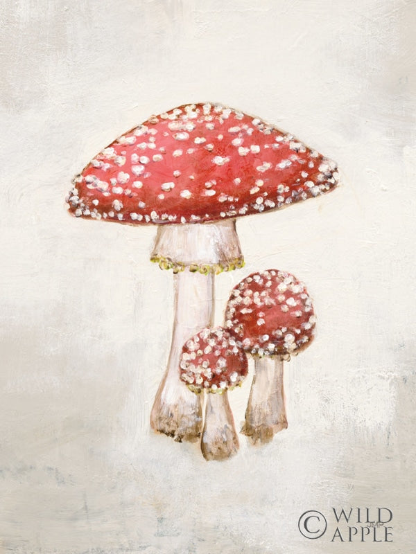 Reproduction of Woodland Mushroom II by Julia Purinton - Wall Decor Art