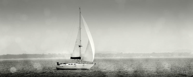 Reproduction of Lake Sail Crop by Sue Schlabach - Wall Decor Art