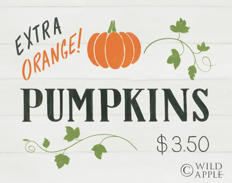 Reproduction of Fall Bounty VI by James Wiens - Wall Decor Art