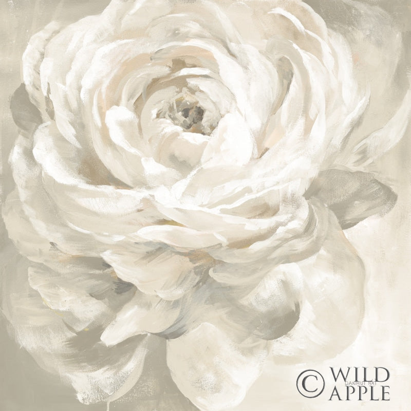 Reproduction of White Rose Gray by Danhui Nai - Wall Decor Art