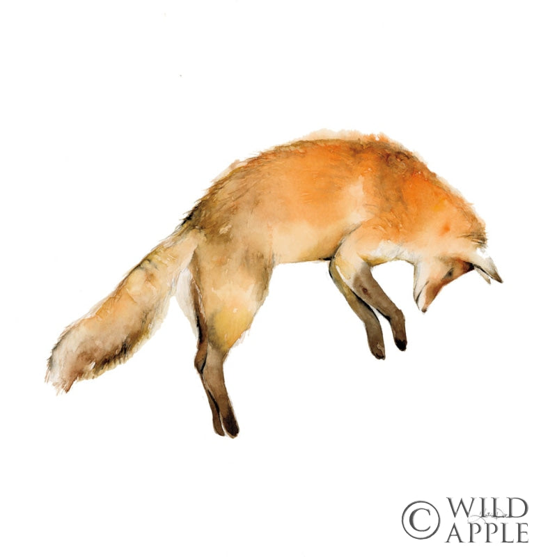 Reproduction of Jumping Fox on White by Katrina Pete - Wall Decor Art