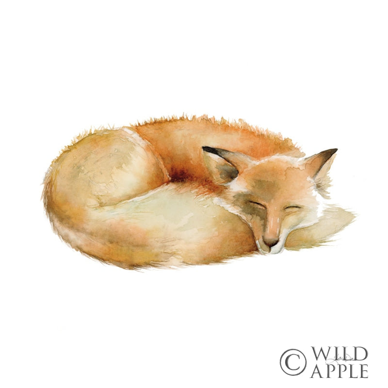 Reproduction of Sleeping Fox on White by Katrina Pete - Wall Decor Art