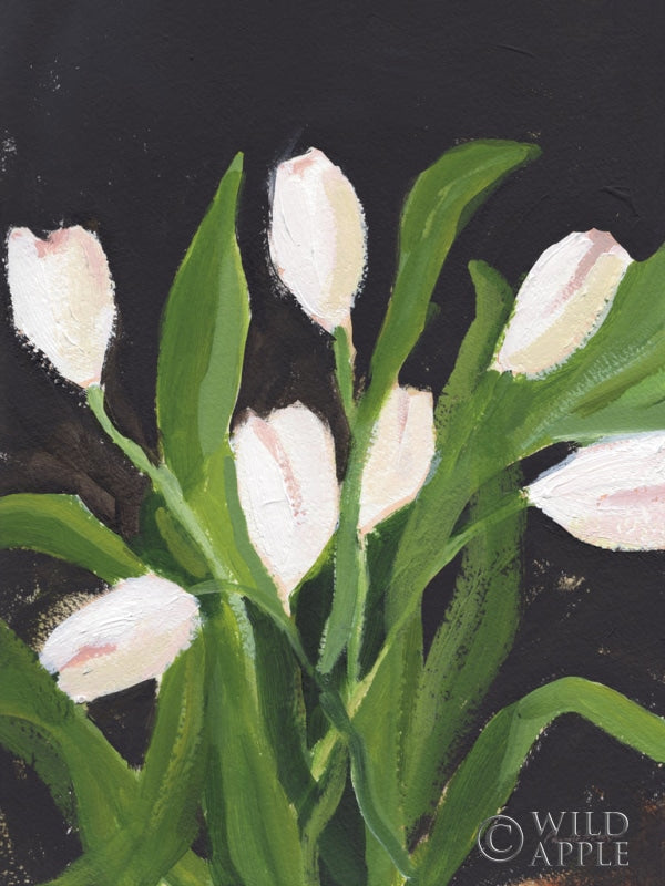 Reproduction of White Tulips on Black by Pamela Munger - Wall Decor Art