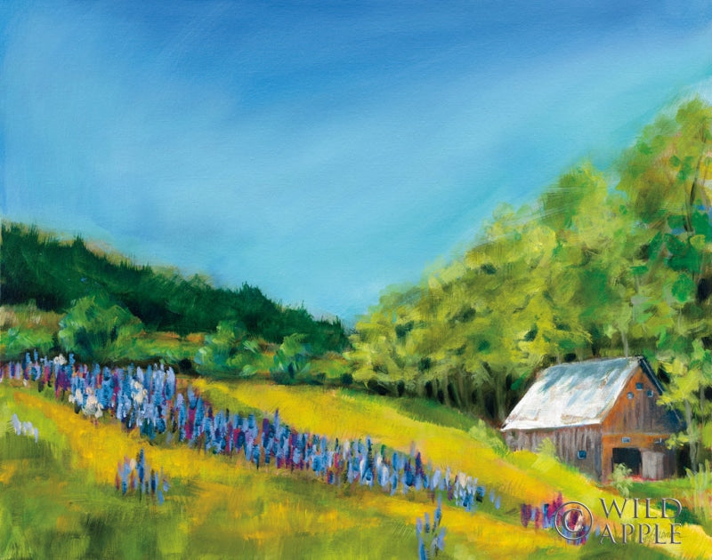 Reproduction of Field of Lupine by Sue Schlabach - Wall Decor Art