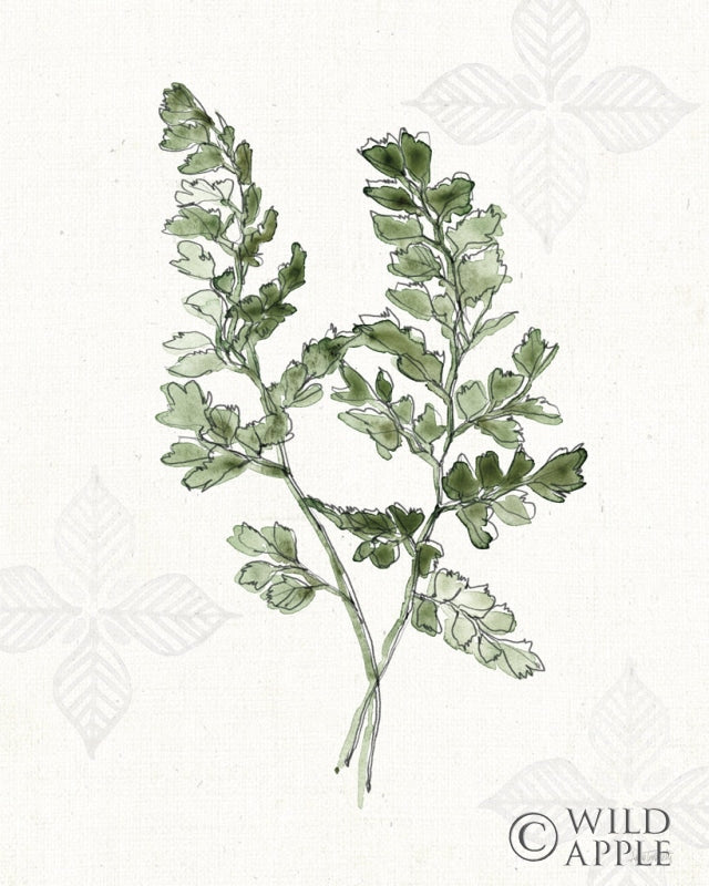 Reproduction of Fresh Farmhouse V by Anne Tavoletti - Wall Decor Art