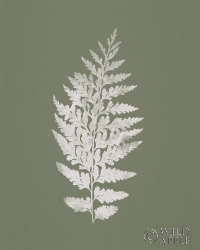 Reproduction of True Green VII by Katie Pertiet - Wall Decor Art