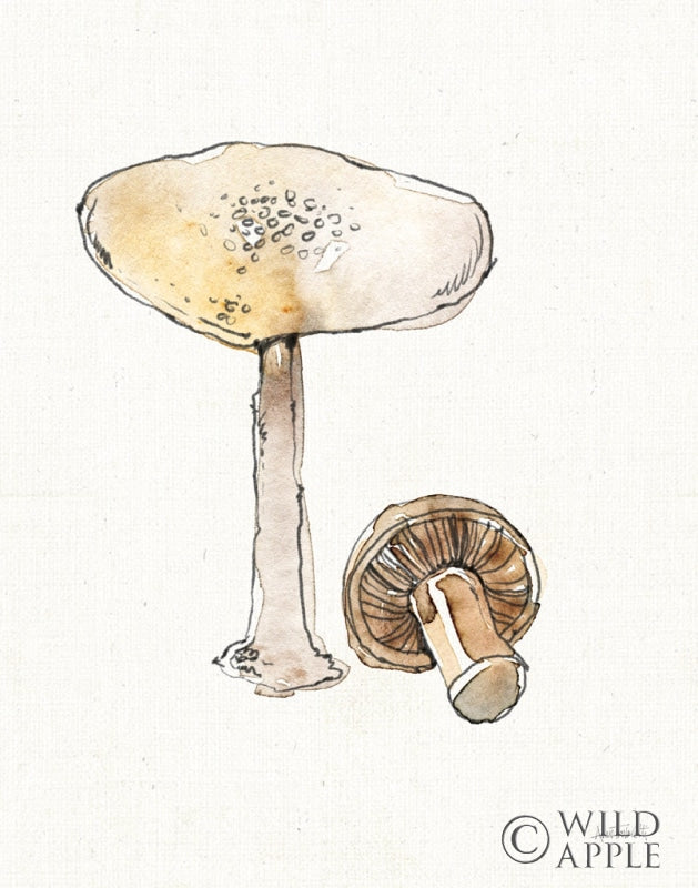 Reproduction of Fresh Farmhouse Mushrooms IV by Anne Tavoletti - Wall Decor Art