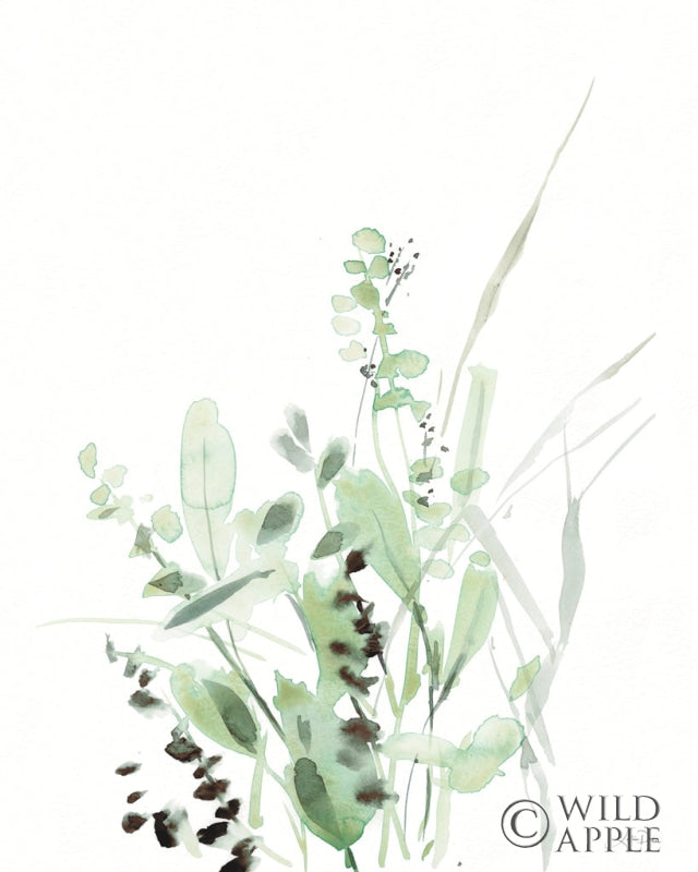 Reproduction of Grasses II by Katrina Pete - Wall Decor Art