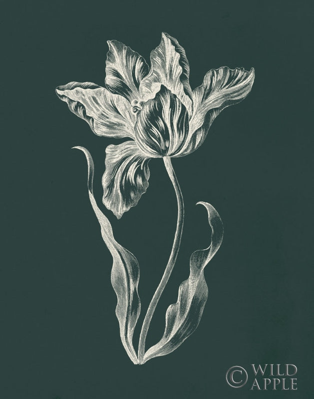 Reproduction of Eden Tulips II by Wild Apple Portfolio - Wall Decor Art