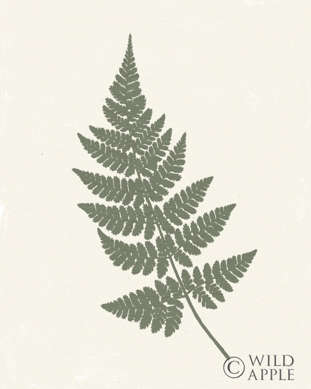 Reproduction of Forest Shadows I Green on Cream Crop by Moira Hershey - Wall Decor Art