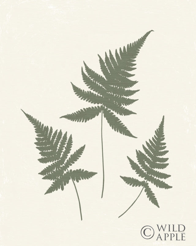 Reproduction of Forest Shadows IV Green on Cream Crop by Moira Hershey - Wall Decor Art