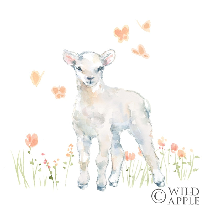 Reproduction of Spring Lambs II by Katrina Pete - Wall Decor Art