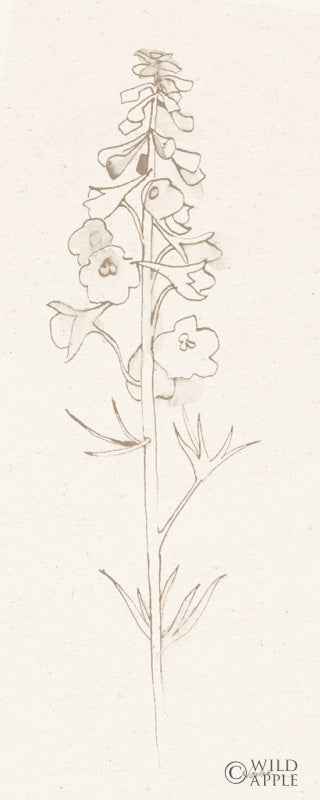 Reproduction of Delphinium II by Shirley Novak - Wall Decor Art