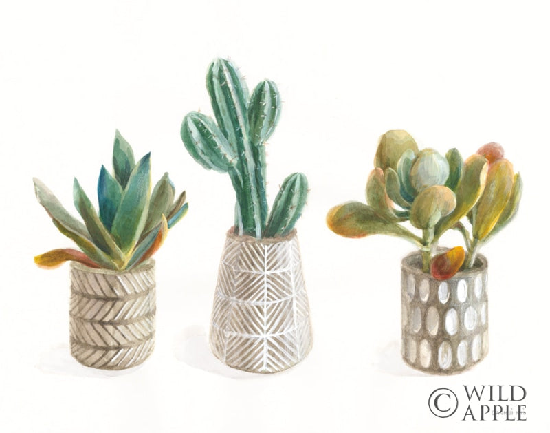 Reproduction of Desert Greenhouse VI by Danhui Nai - Wall Decor Art