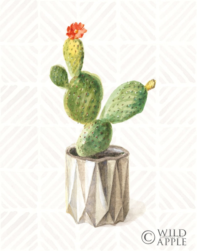 Reproduction of Desert Greenhouse XII by Danhui Nai - Wall Decor Art