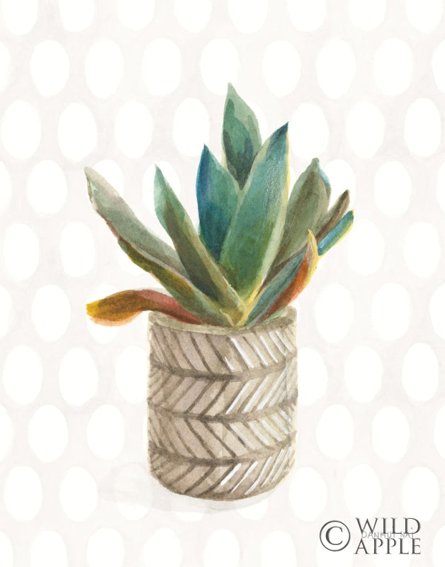 Reproduction of Desert Greenhouse XIII by Danhui Nai - Wall Decor Art