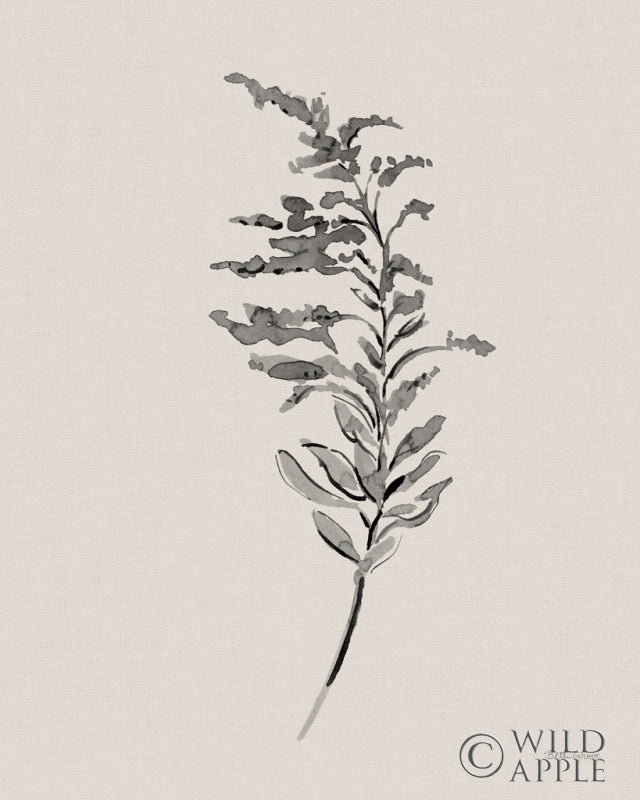 Reproduction of Harvest Classics V on Cream by Beth Grove - Wall Decor Art