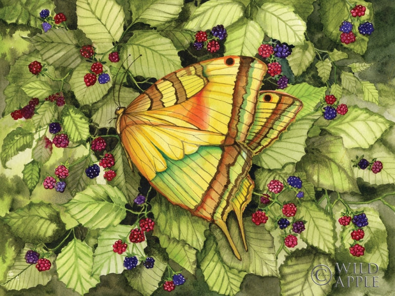 Reproduction of Bountiful Butterfly by Kathleen Parr McKenna - Wall Decor Art