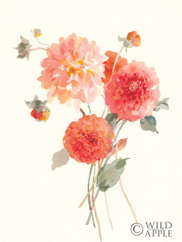 Reproduction of Summer Dahlias II by Danhui Nai - Wall Decor Art
