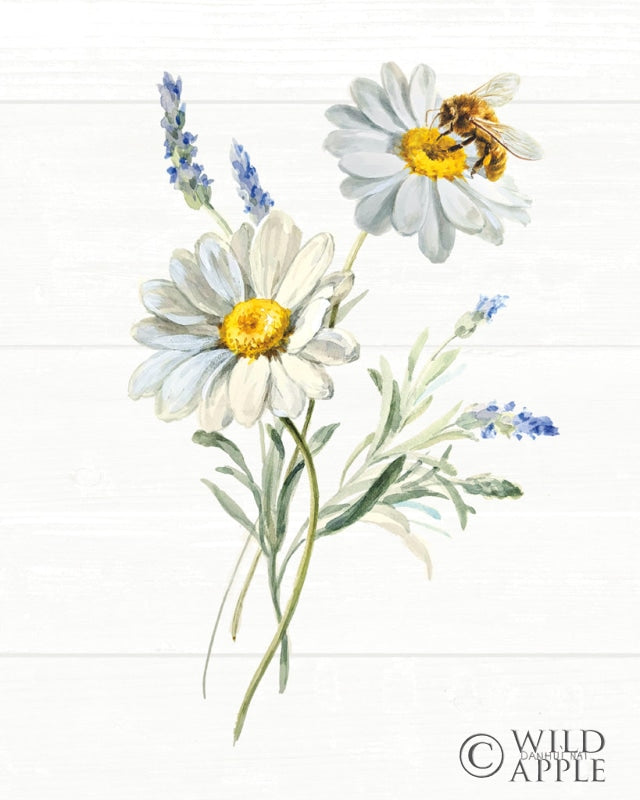 Reproduction of Bees and Blooms Flowers II by Danhui Nai - Wall Decor Art