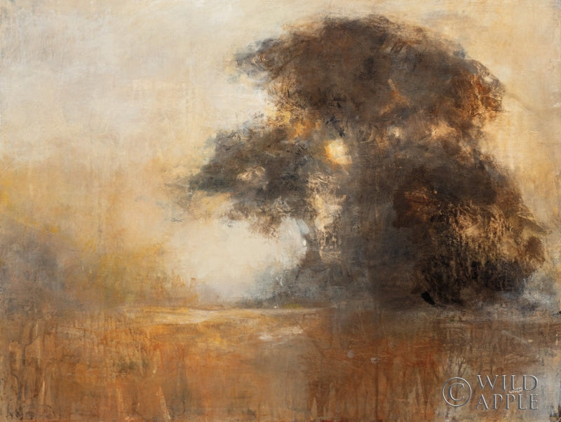 Reproduction of First Light I by Julia Purinton - Wall Decor Art